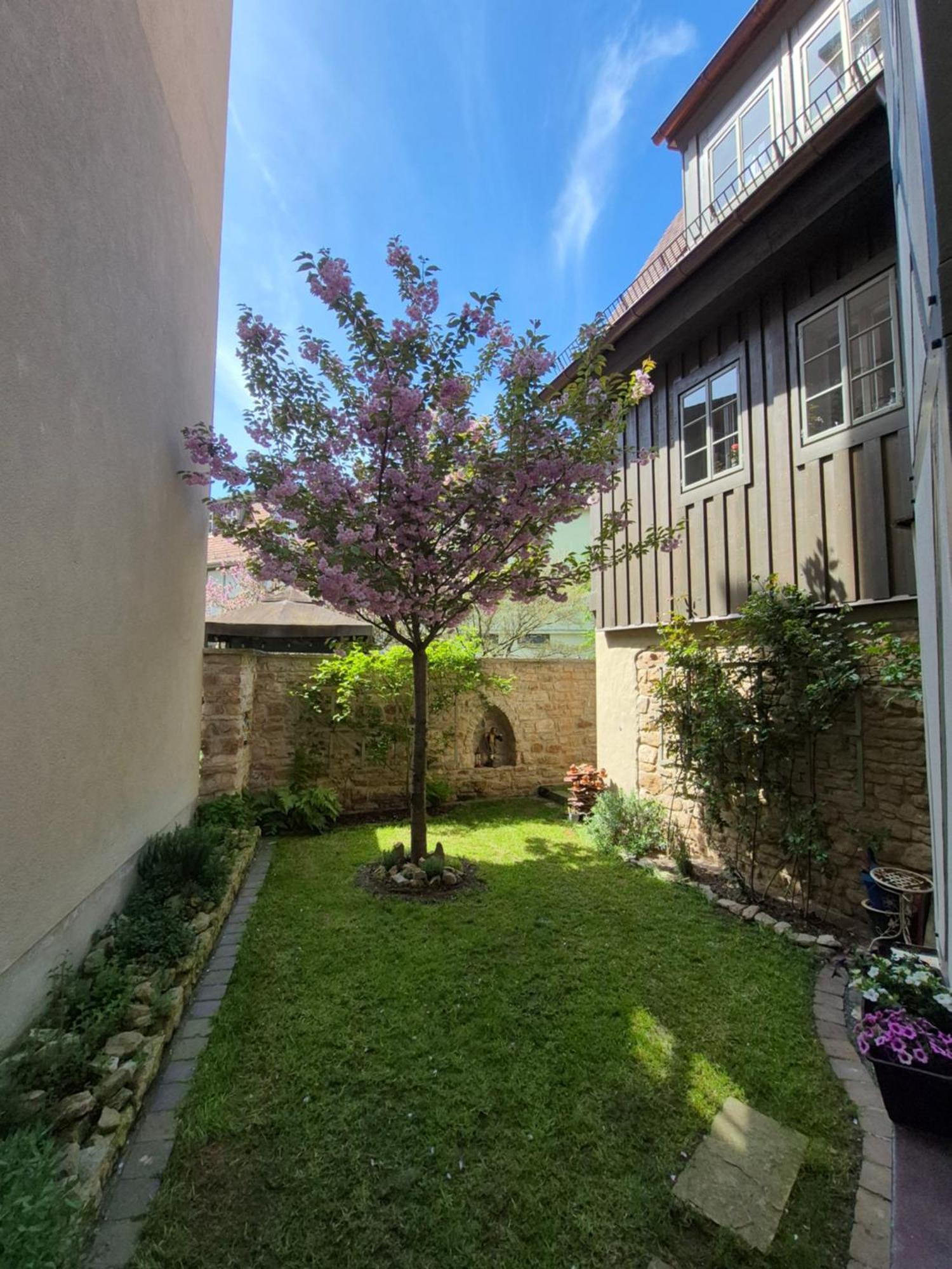 Aussergewoehnliches, Historisches, Spaetgotisches Wohnhaus Von 1519, Gries 5 Gera Exterior foto