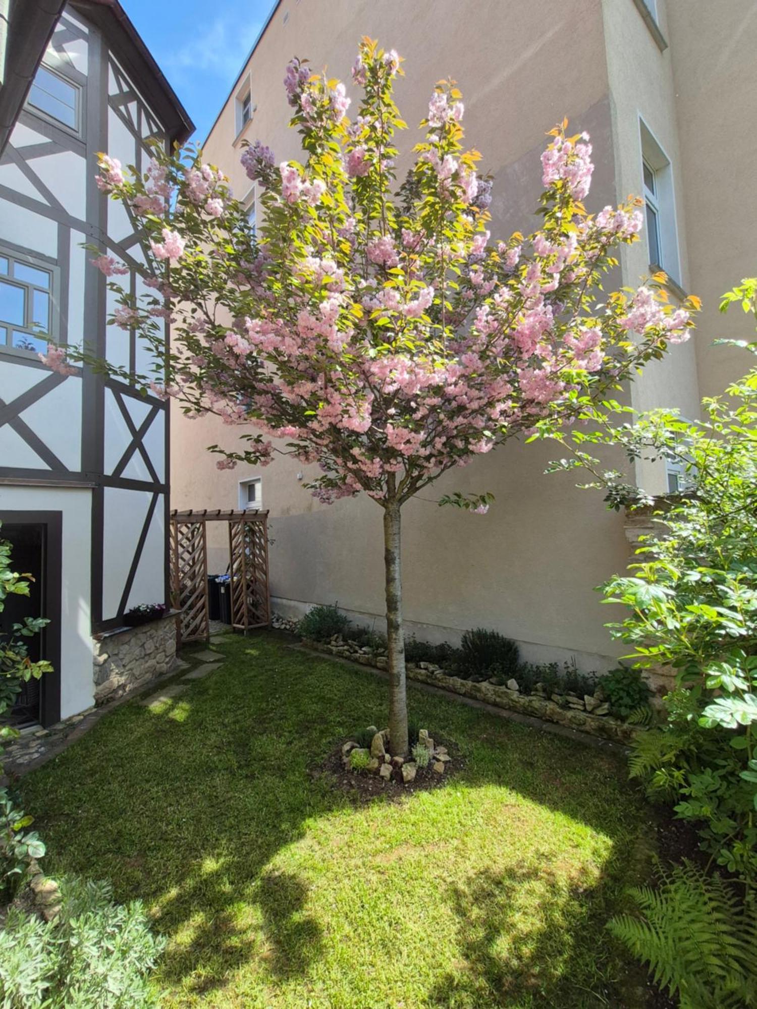 Aussergewoehnliches, Historisches, Spaetgotisches Wohnhaus Von 1519, Gries 5 Gera Exterior foto